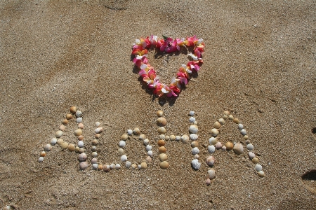 Beach coast sand word Photo