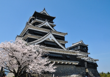 Building tower castle pink Photo