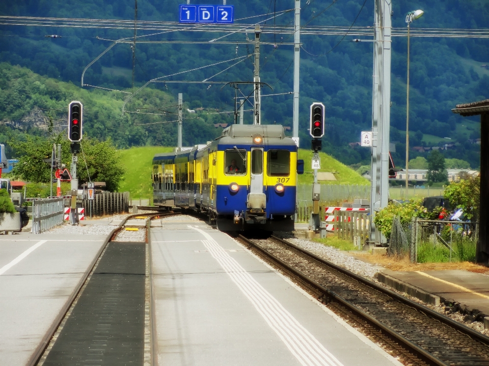 Melacak kereta api jalan