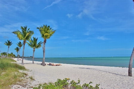 Beach sea coast water Photo