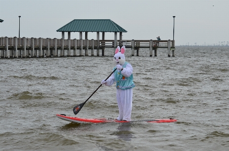 Sea water outdoor board Photo