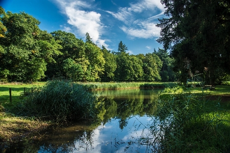 Landscape tree water nature Photo