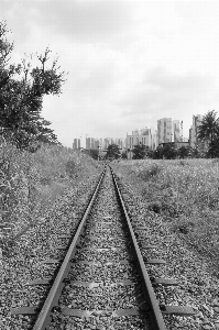 Photo Noir et blanc
 piste chemin de fer rail