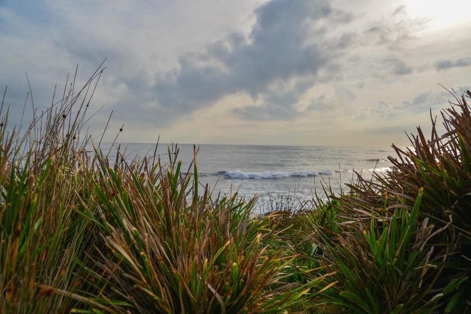 Strand landschaft meer küste