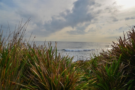 Beach landscape sea coast Photo