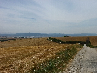 Landschaft küste gras horizont Foto