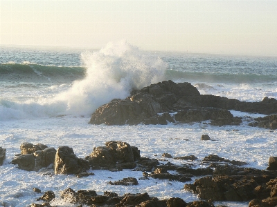 Beach sea coast water Photo