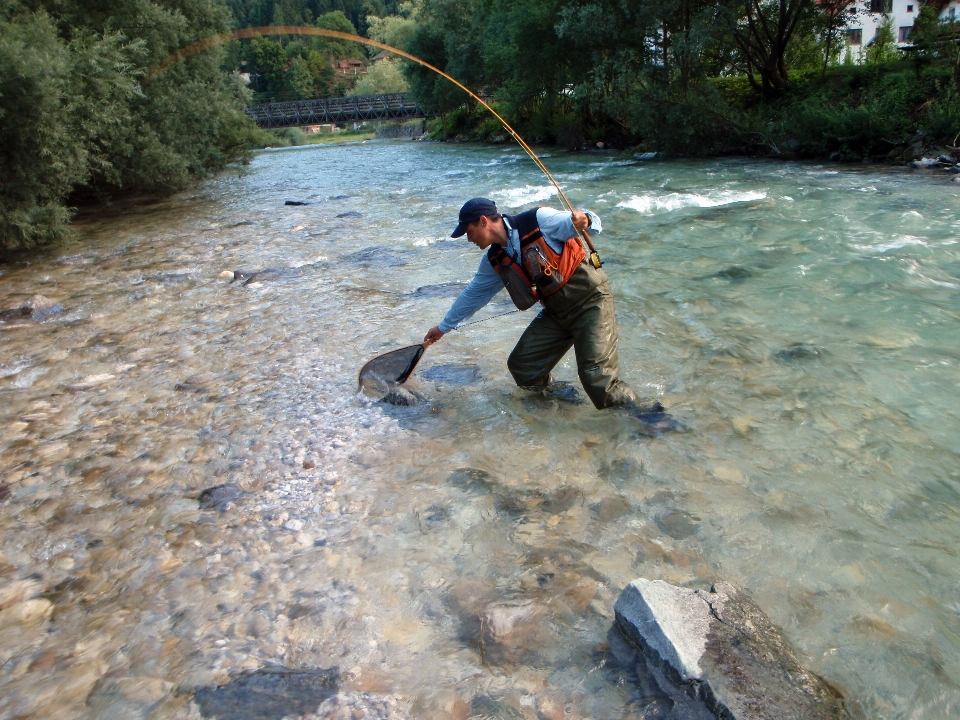 Aventura río recreación pez