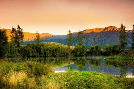 Landscape tree nature outdoor Photo