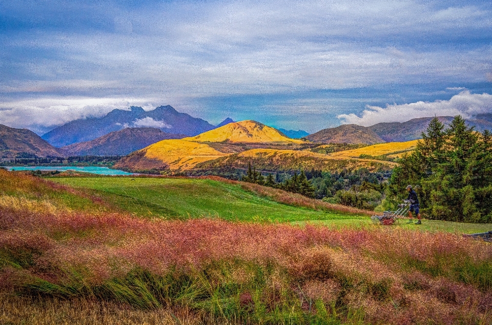 Paesaggio natura erba all'aperto