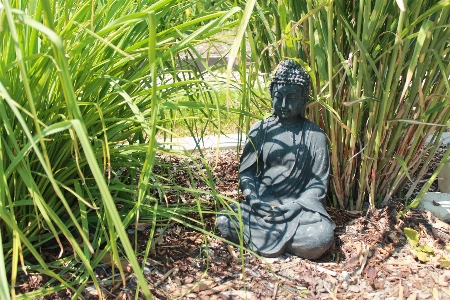 Foto Grama estátua verde selva