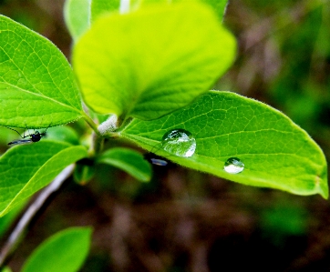 Landscape tree water nature Photo