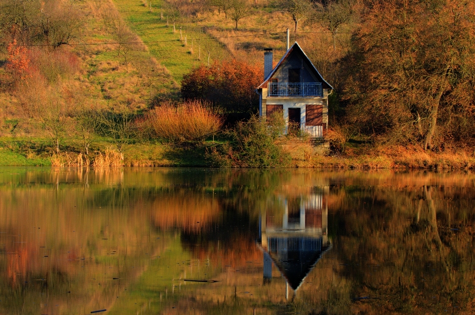 Paisaje árbol agua naturaleza