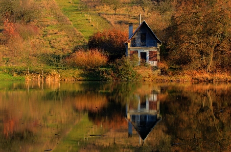 Foto Paisagem árvore água natureza