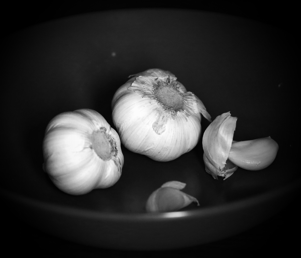 Hand nature black and white plant