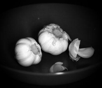 Hand nature black and white plant Photo