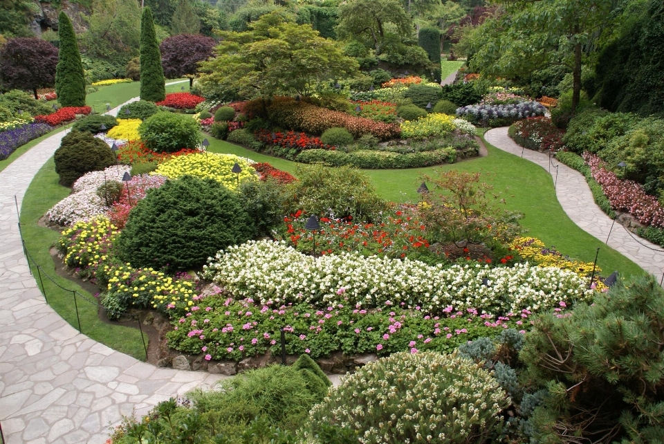 Landscape path blossom plant