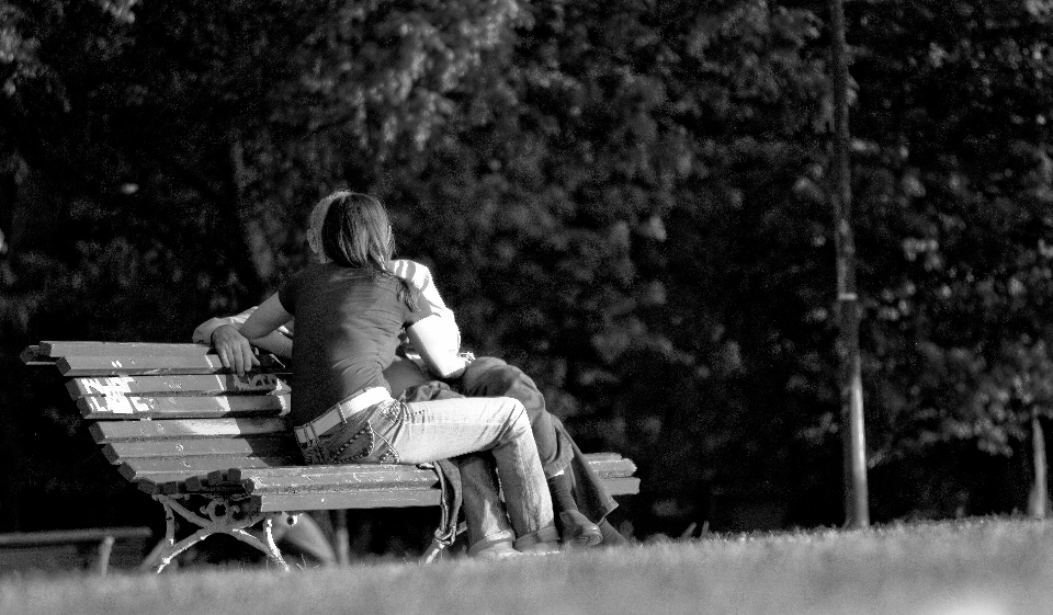 Noir et blanc
 blanc banc la photographie