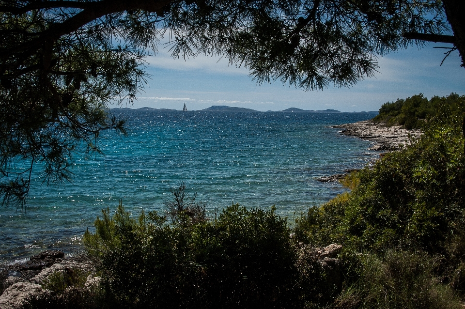 Beach landscape sea coast