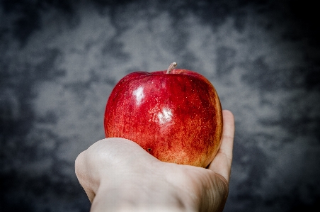 Hand apple book plant Photo