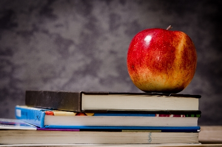 Apple book plant fruit Photo