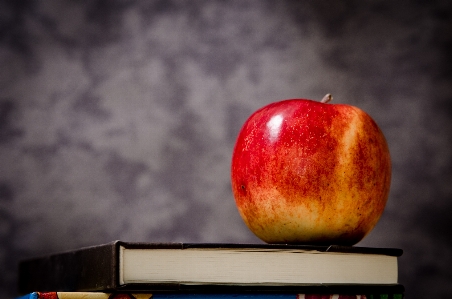 Apple book plant fruit Photo