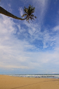 Beach landscape sea coast Photo