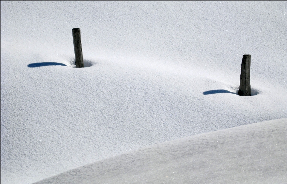 自然 雪 寒冷的 冬天