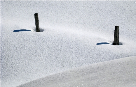 Nature snow cold winter Photo