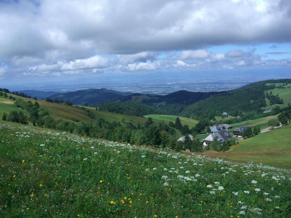 Paisagem natureza grama montanha