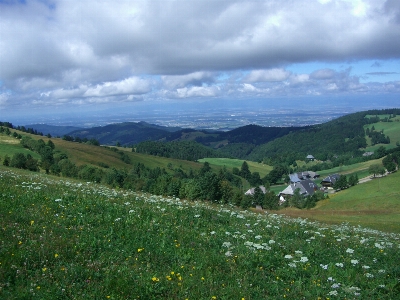 Landscape nature grass mountain Photo