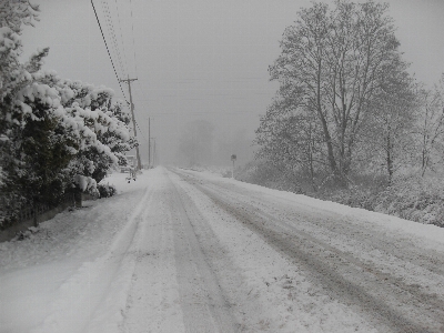 Landscape snow cold winter Photo