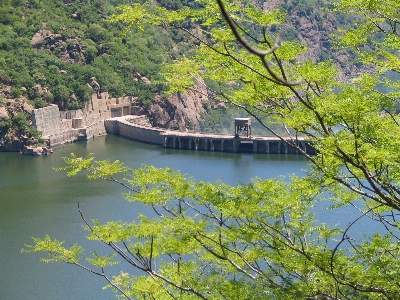 木 水 ブランチ 建築 写真