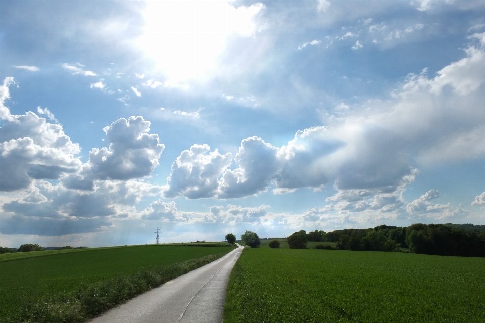 Landschaft natur gras horizont