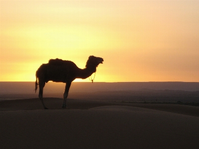 Landscape horizon sunrise sunset Photo