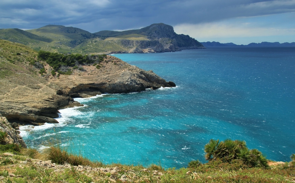 海滩 景观 海 海岸