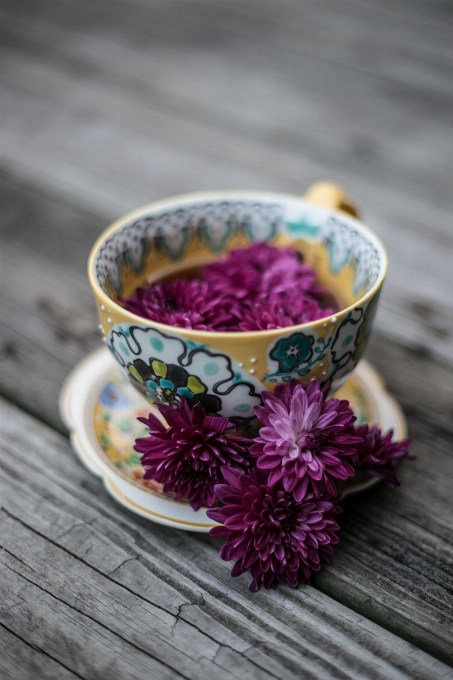 Mesa chá flor roxo