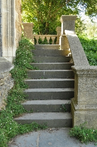 Forest architecture growth lawn Photo