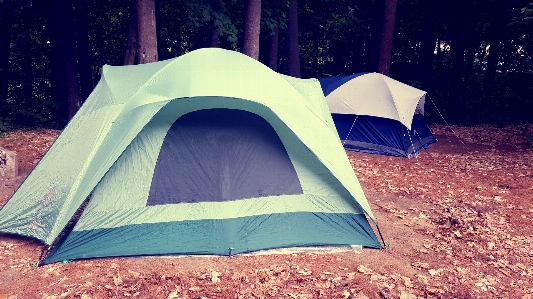 Forest wing blue camping Photo