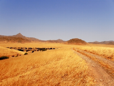 Landscape sand horizon track Photo