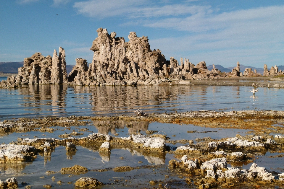 Paysage mer côte nature