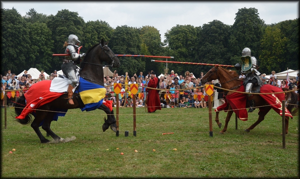 Luchar caballos medieval holanda