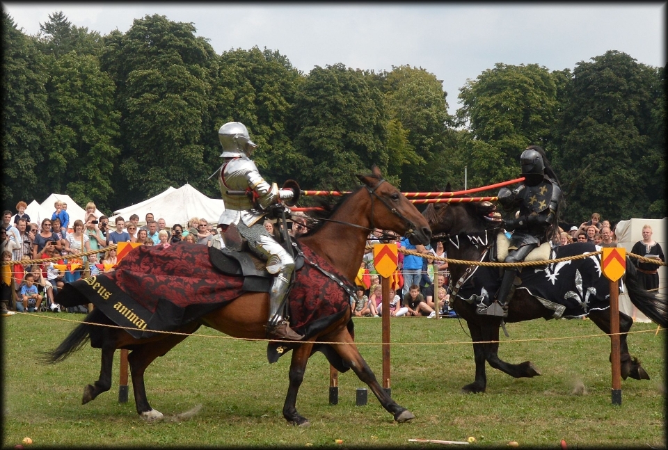 Cavallo combattimento cavalli medievale