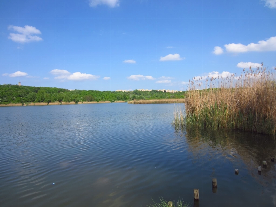 Marsh sky shore lake