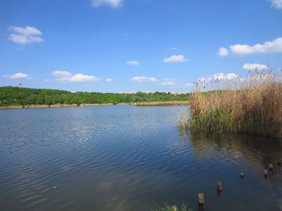 Marsh sky shore lake Photo