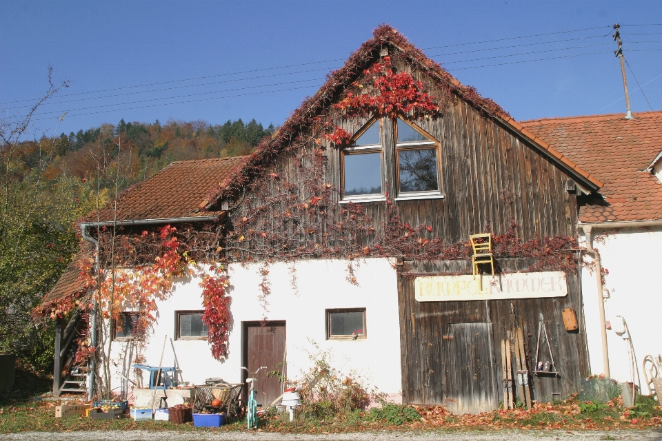 Apple fruit house roof