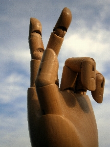 Hand sky wood perspective Photo