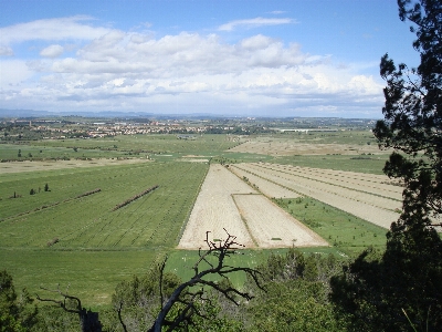 Landscape nature grass horizon Photo