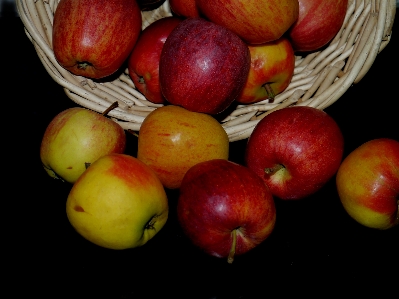 Apple 植物 フルーツ 食べ物 写真