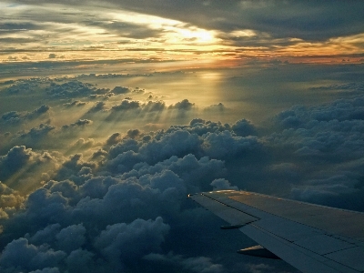 Horizon wing cloud sky Photo